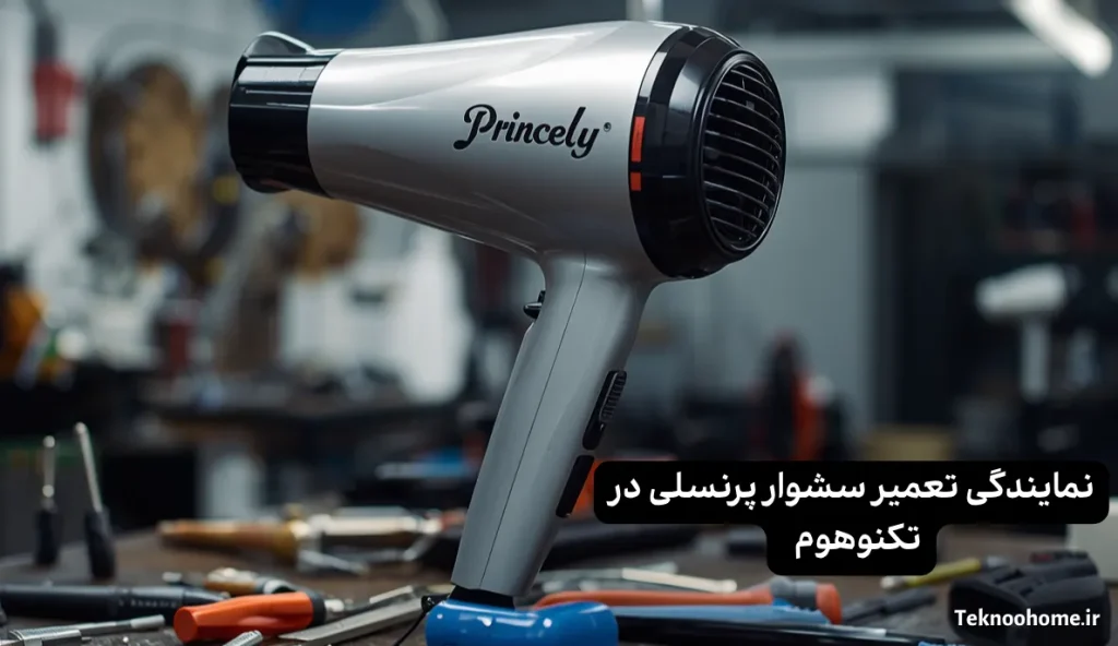 تعمیر سشوار پرنسلی